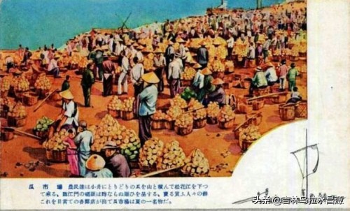 从稀罕物到大众水果——吉林地区苹果的那些往事