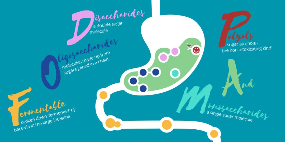 利用宿主分泌的粘蛋白“为食”的Akk菌