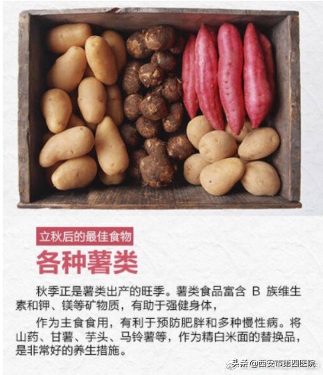 秋季进补身壮如虎,秋季进补要求