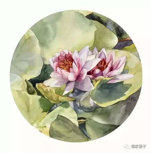 100种漂亮花卉图片,100张漂亮花图