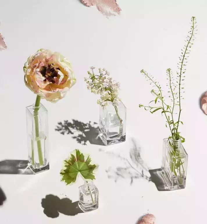 火遍欧洲的小众品牌登陆中国，是HM旗下的网红小可爱