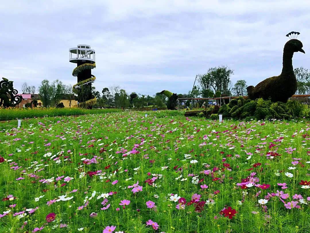 成都大邑奇境花园视频,安仁奇境花园魔豆塔