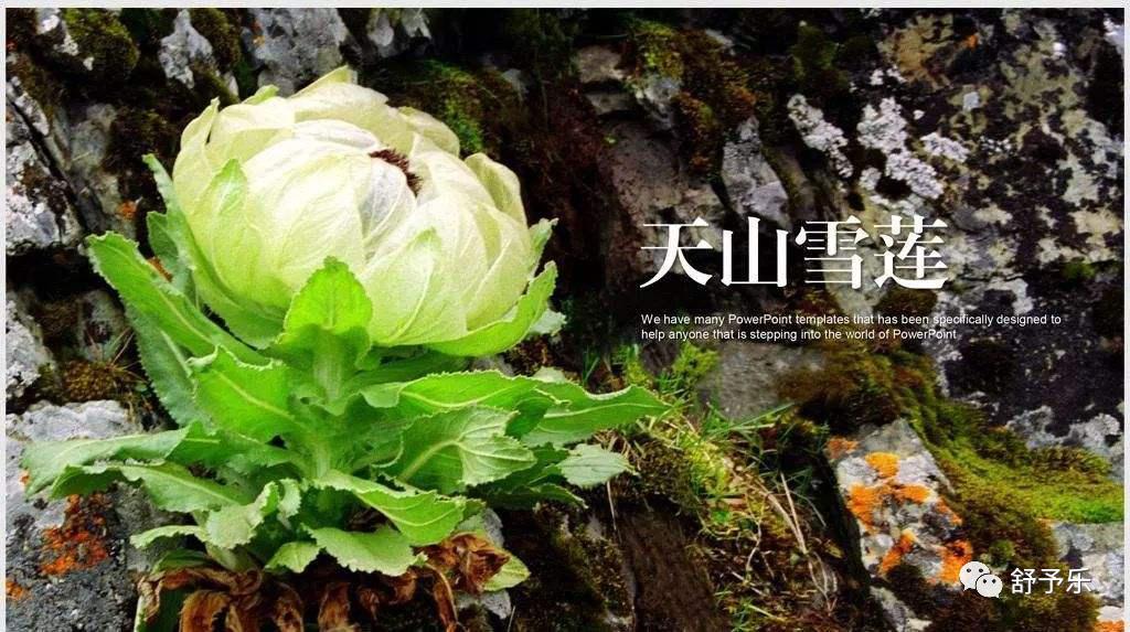 舒予乐-女性私密护理专家