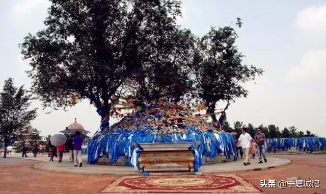 宁夏史读|成吉思汗留在宁夏的未解之谜