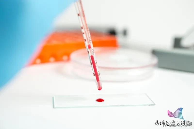 电视剧里滴血认亲科学吗,古代电视剧滴血认亲靠谱吗