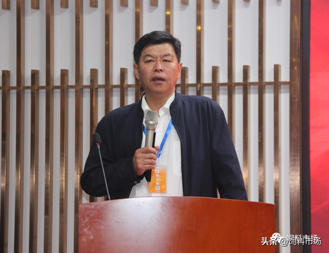 山东活力集团,长清区活力集团