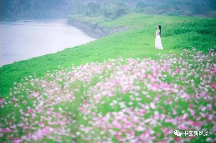 等你在我人生最美的时刻