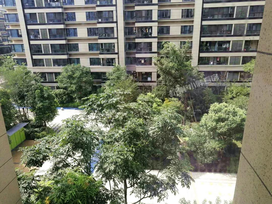 越卖越疯狂!万科星空凭什么代表未来科技城站上5万+