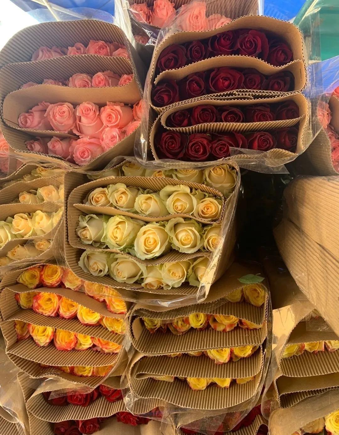 教你如何避开假货买到真品,一张图告诉你怎样分辨假货