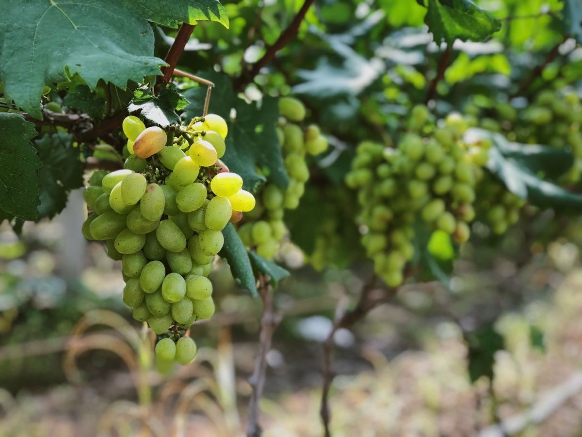 厦门温泉酒店吃住一体团购,厦门温泉酒店温泉套票