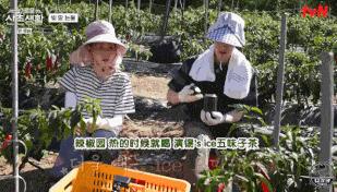 柳演锡申贤彬为什么叫wintergarden,罗英锡曺圭贤