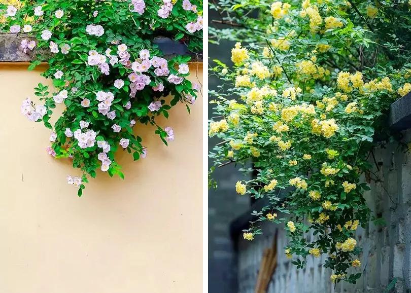 藏在南京颐和路这座酒店,可以谱写一段只属于自己的“民国往事”