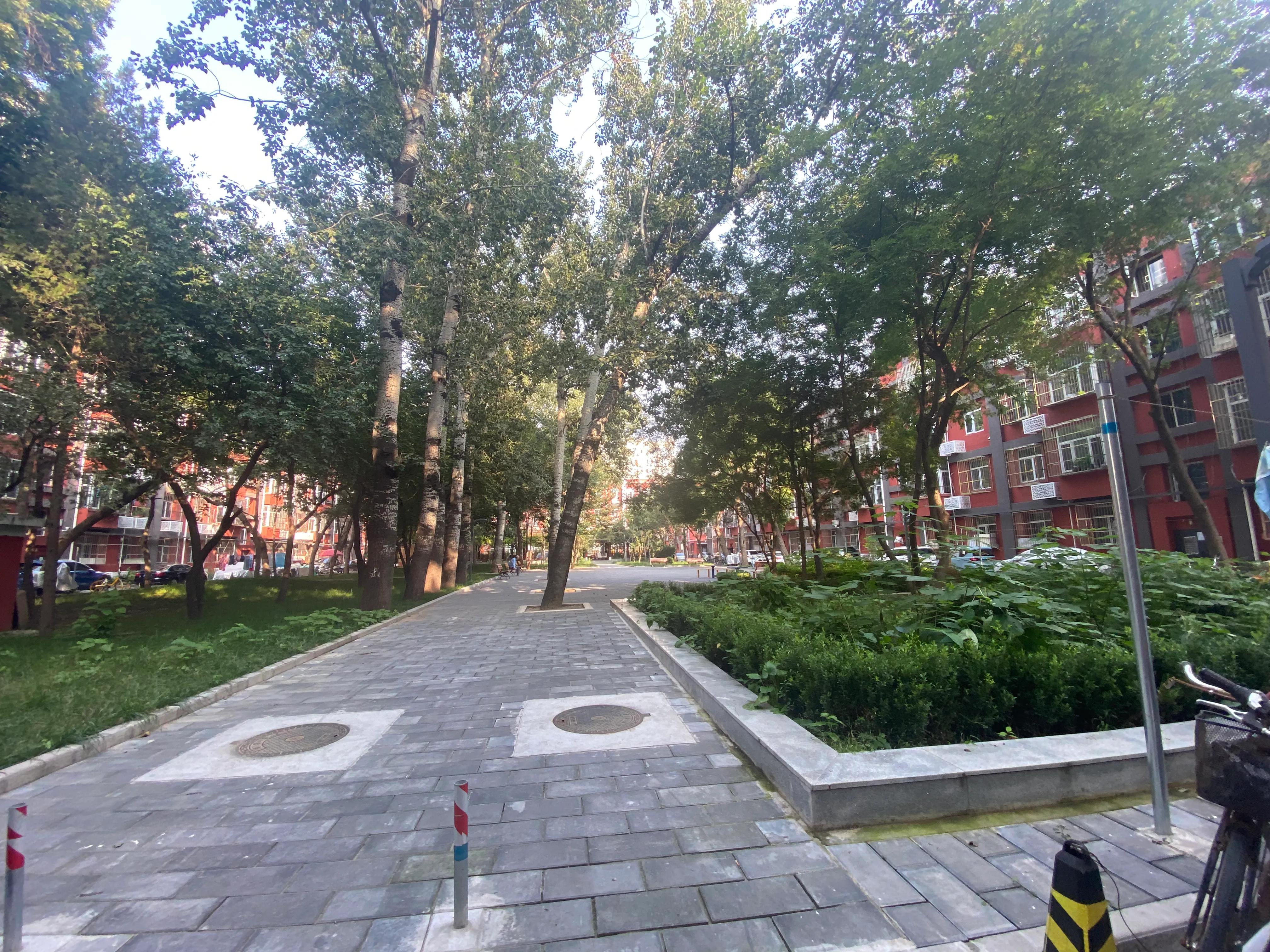 月坛学区的中学怎么样,月坛学区中学排名