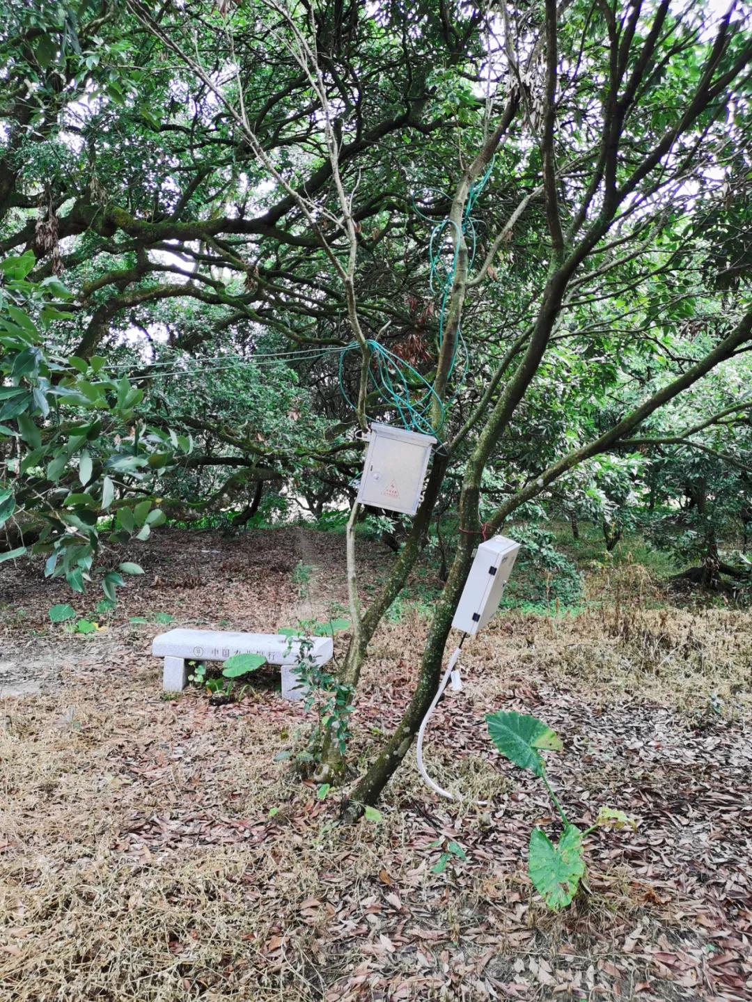 检察蓝用心守护海洋蓝,检察蓝守护最美夕阳红