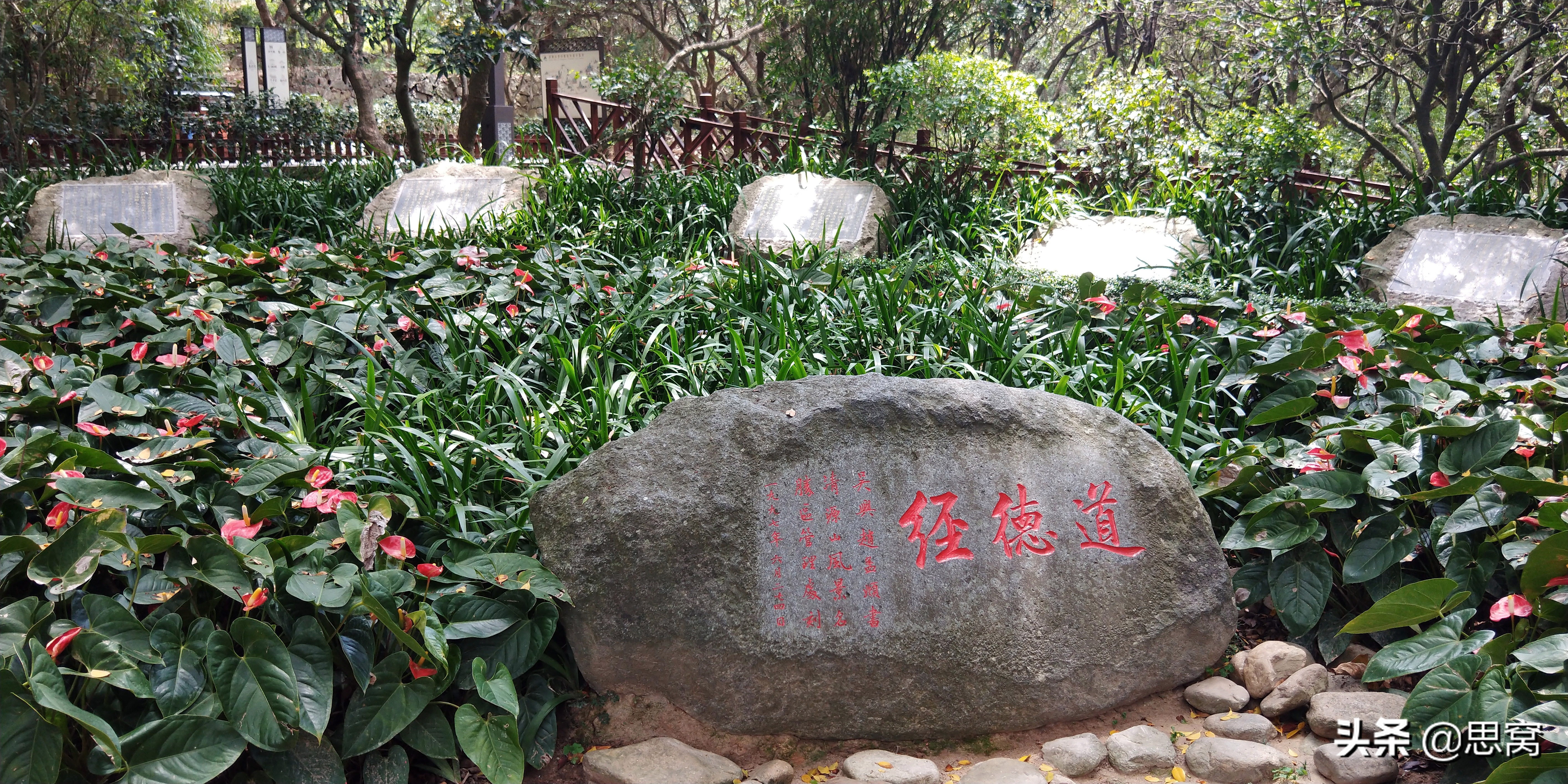 娓呮簮灞辨槸娉夊窞鐨勬瘝浜插北,娉夊窞娓呮簮灞辨瘝浜插北