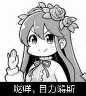 破解化解用法区别,软件防止破解最好的方法