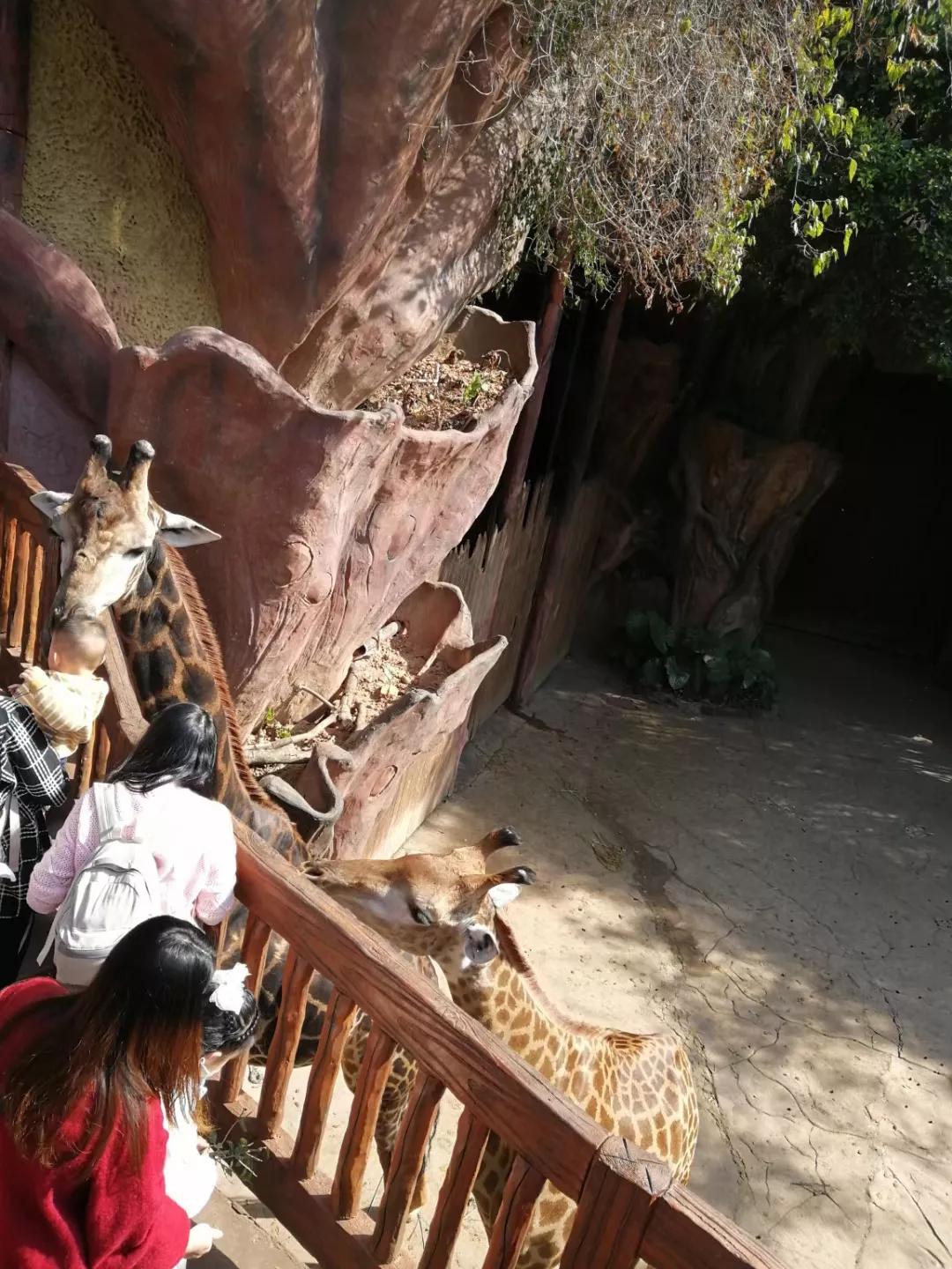 番禺地铁7号线旅游攻略,广州番禺七号线游玩攻略