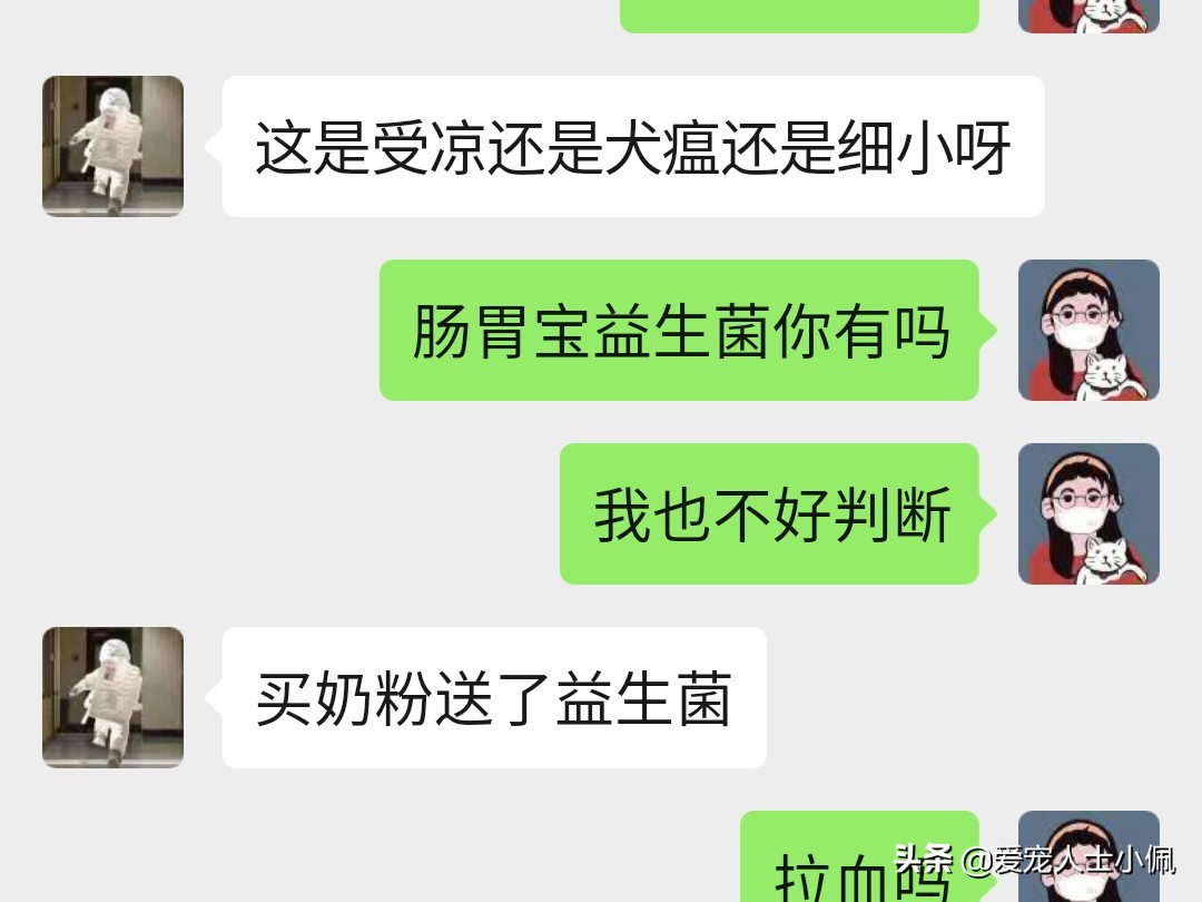 新手养狗怎么注意犬瘟细小,细小很严重如何判断狗狗得了细小