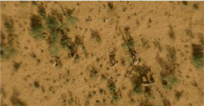 这部BBC纪录片一开播就拿下9.5高分，除了美更培养了孩子的世界观