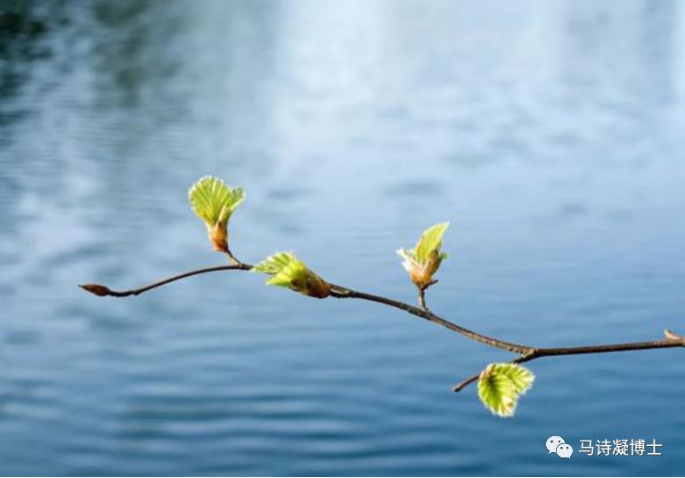 科普颈动脉斑块,科普下肢动脉硬化闭塞