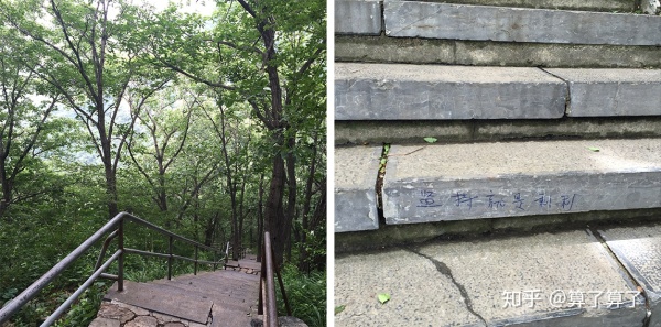 华山泰山黄山哪个高,恒山华山嵩山泰山衡山哪个山最高