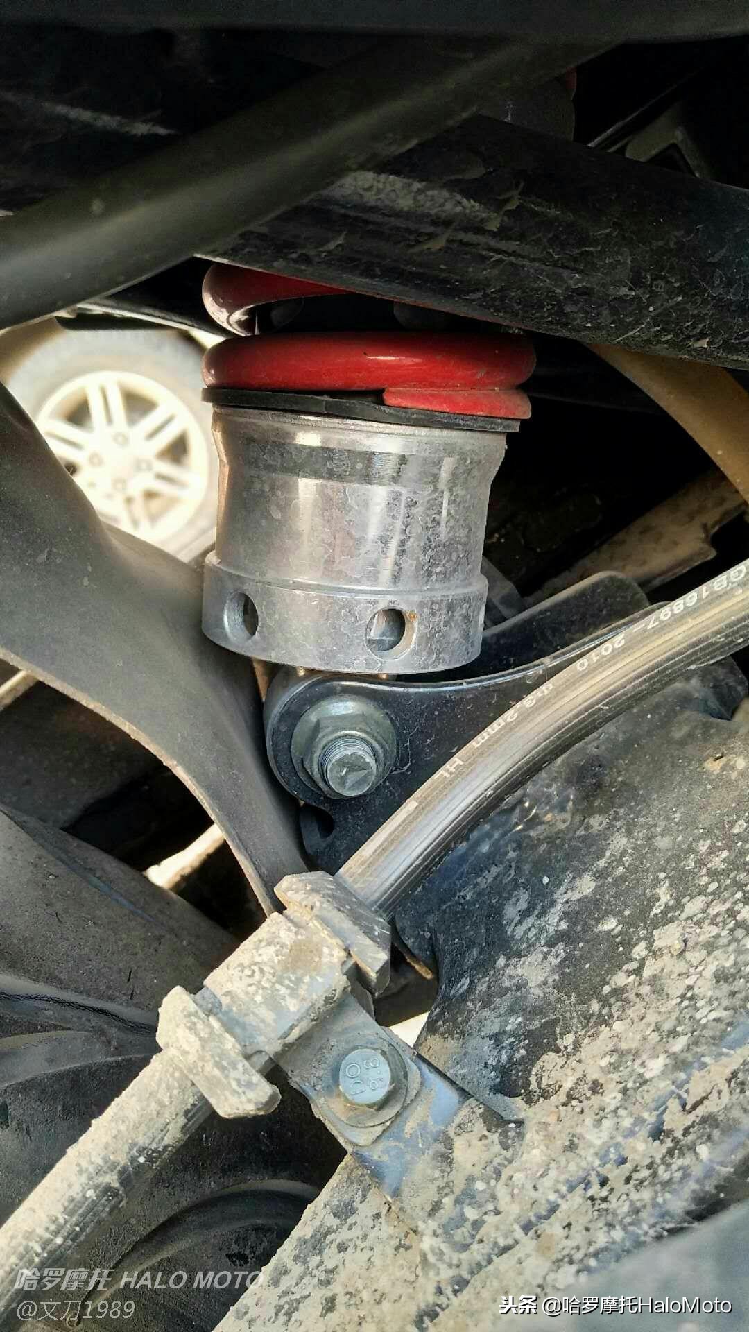 哈啰车评,哈罗评车20期