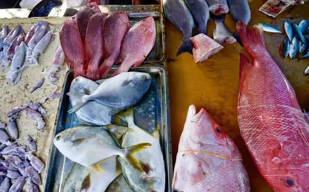 海南最大的渔港码头,在海南岛最霸气的渔港码头