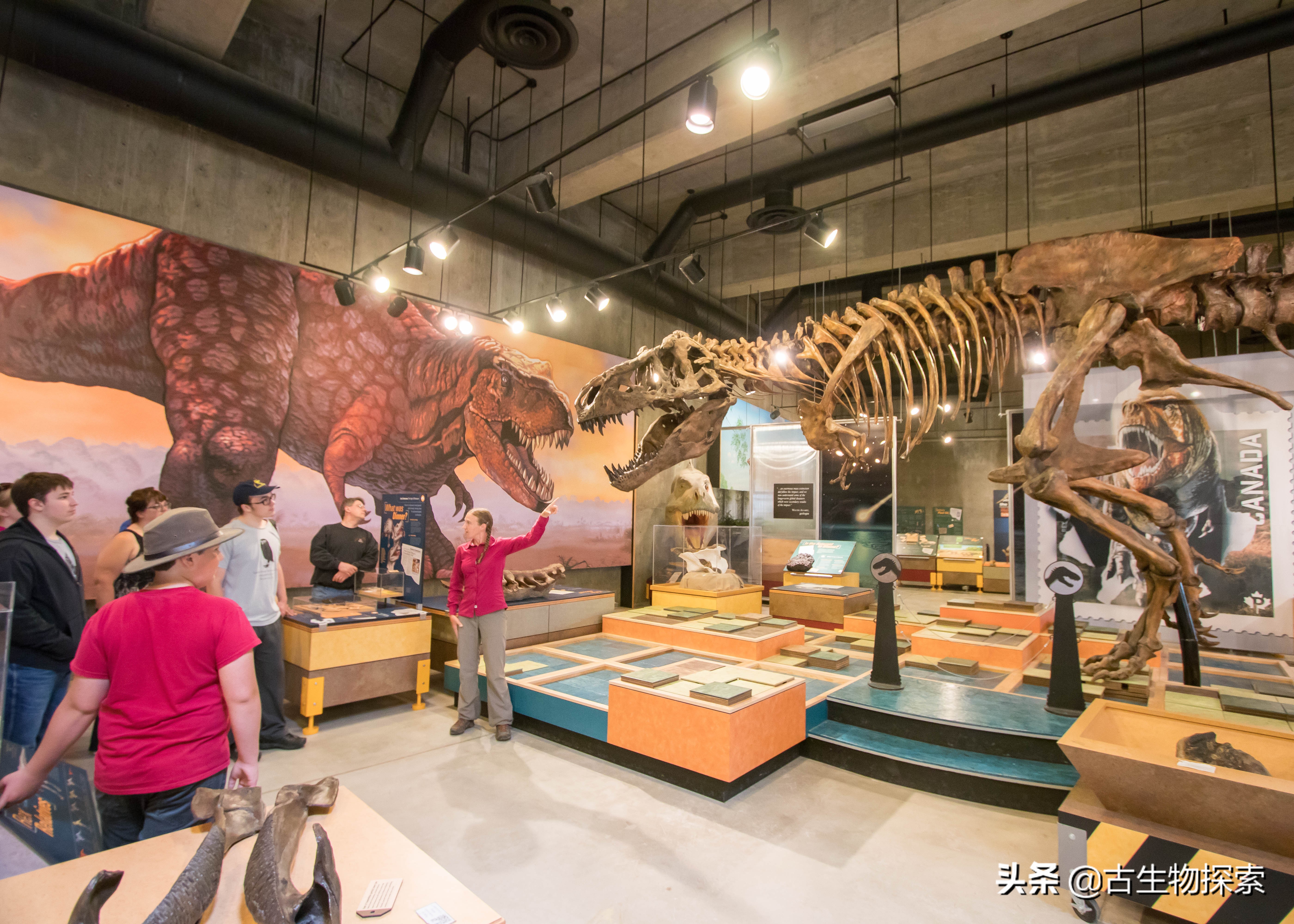 古生物学家恐龙化石霸王龙,中国发现霸王龙化石