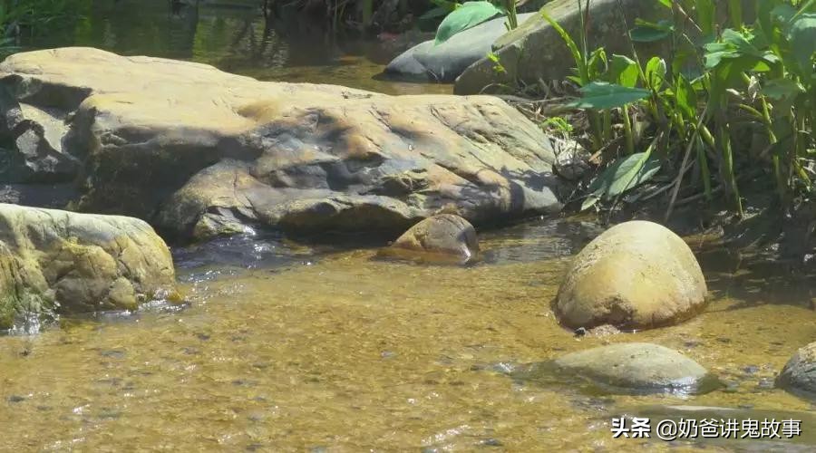 深圳五条超美绿道,龙华环城绿道羊台山段从哪进