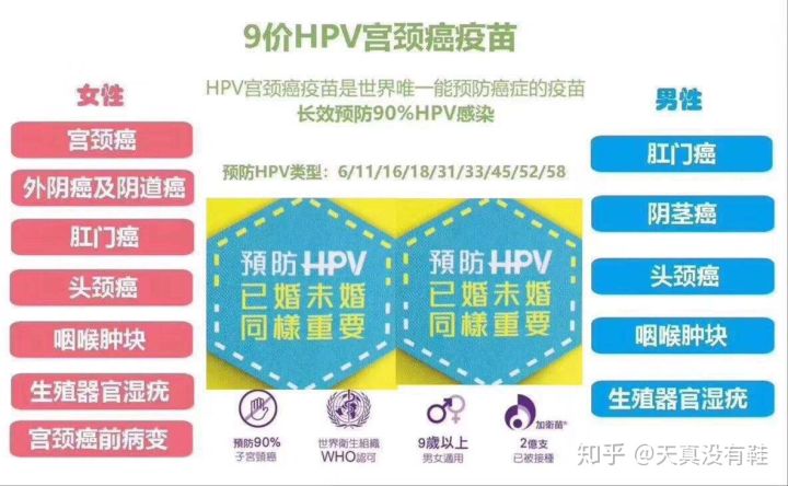 hiv和hpv哪个更可怕,hsvhpv