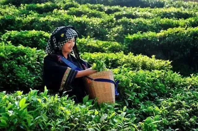 中国十大避暑旅游排名,中国避暑名城榜