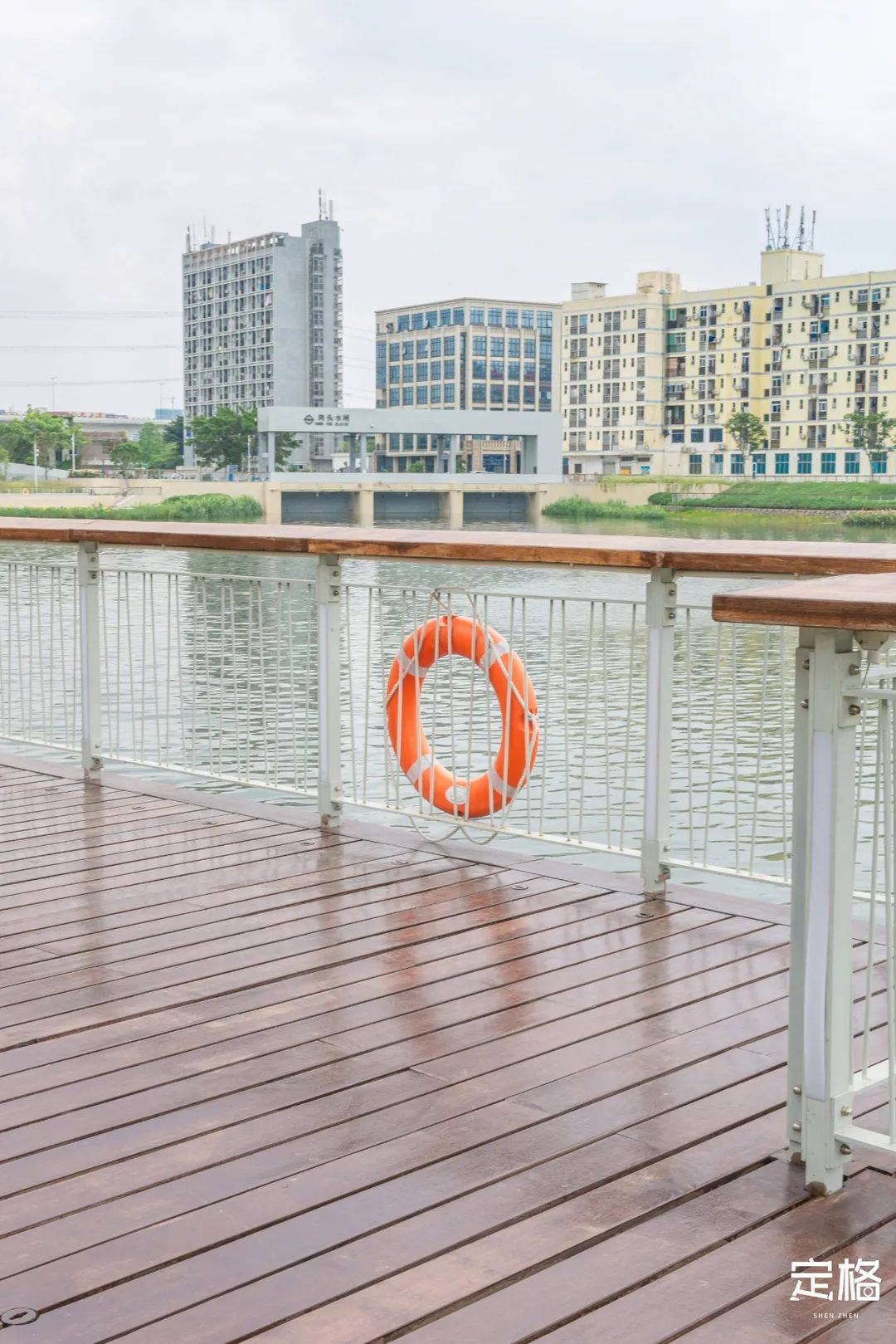 沙井万丰哪里的生蚝好吃,深圳沙井生蚝最出名店