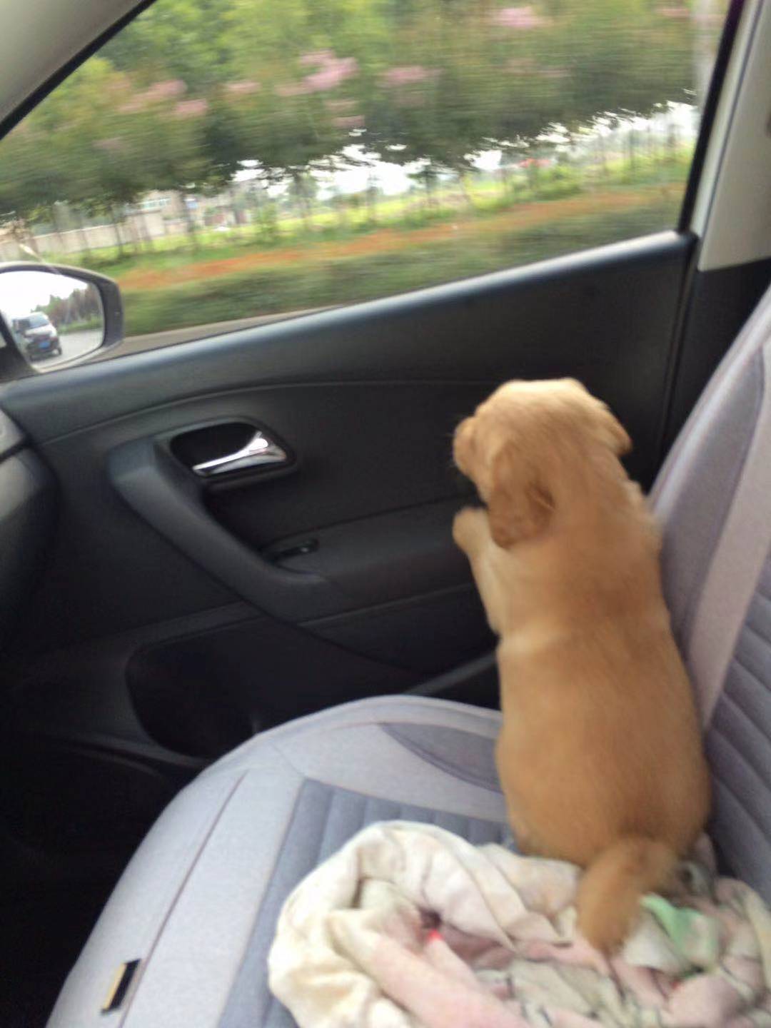 POLO试驾视频,polo深度保养