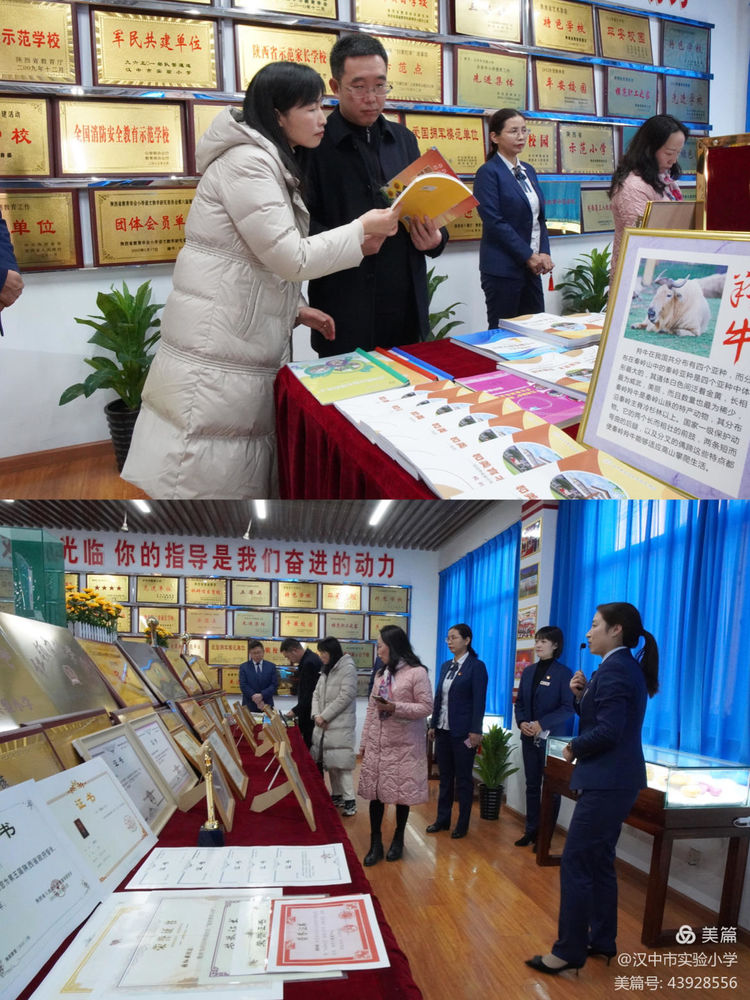 推动评估工作走深走实,教育督导促提升砥砺前行谱新篇