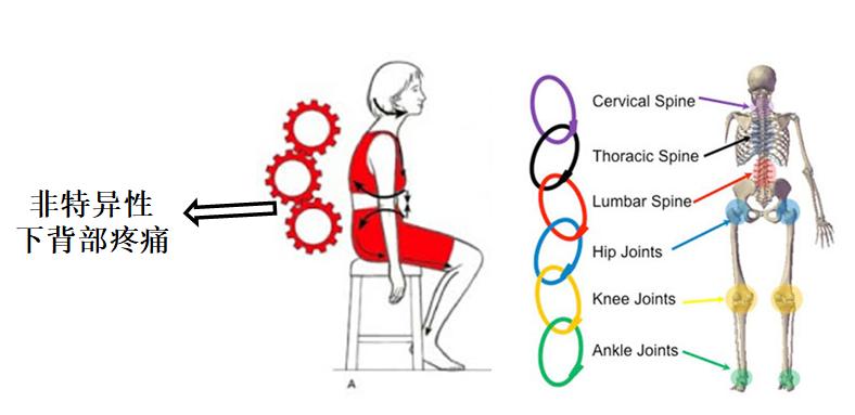 疫情症状腰很痛怎么缓解,疫情期间在家躺的腰疼怎么缓解