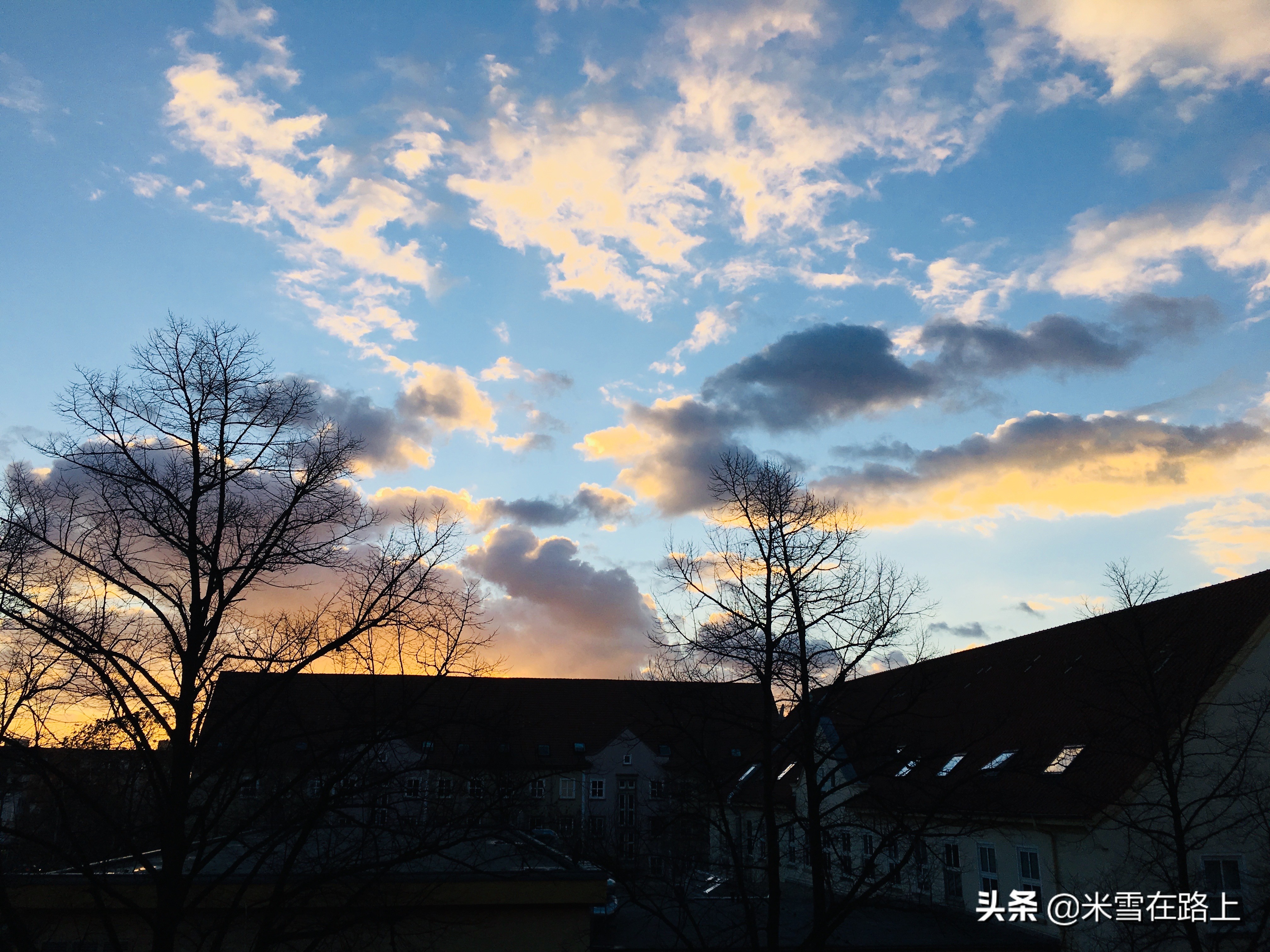 在德国留学的这五年,在德国舍友