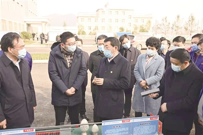 开好局奋勇争先更出彩,举旗定向完整版