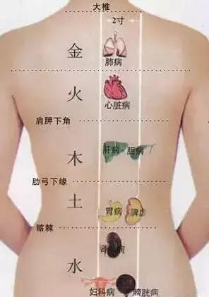 你的背是什么样的,你的背