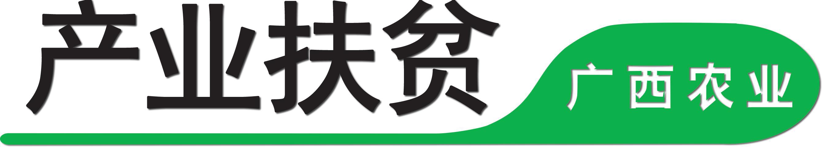 藤县新庆三红蜜柚,广西蜜柚大丰收