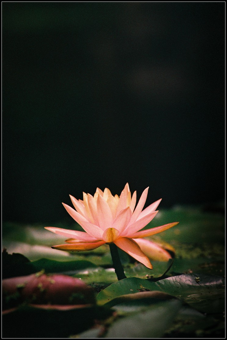 第9篇关于二手（这是个沉重而有趣的话题）