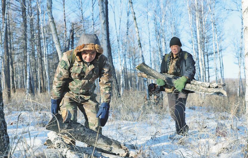 行走在冷冽的寒风中完整版,行走在冷冽的寒风中