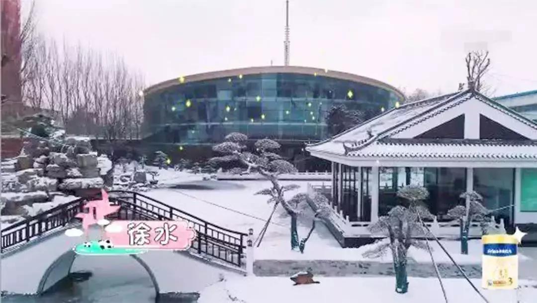 明星精致,明星到底有多精致