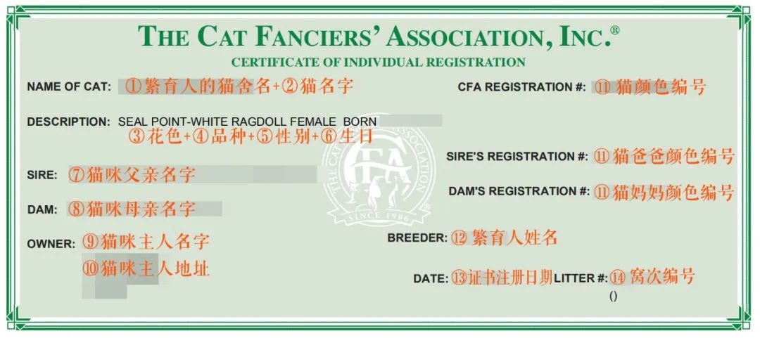 猫咪cfa血统证书含金量高么,猫咪要选有血统证书的吗