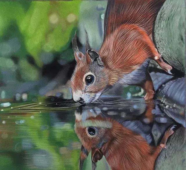 彩铅不会涂色怎么办,彩铅绘画干货