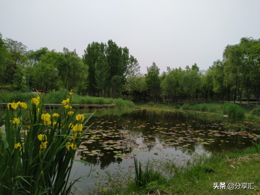 西安浐灞国家湿地公园近期航拍,西安浐灞国家湿地公园板块发展