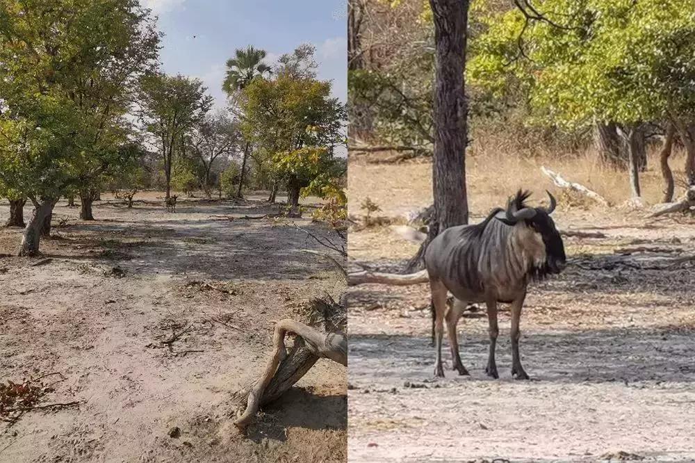 华为mate30手机如何开启app权限,华为mate30新机都有什么app