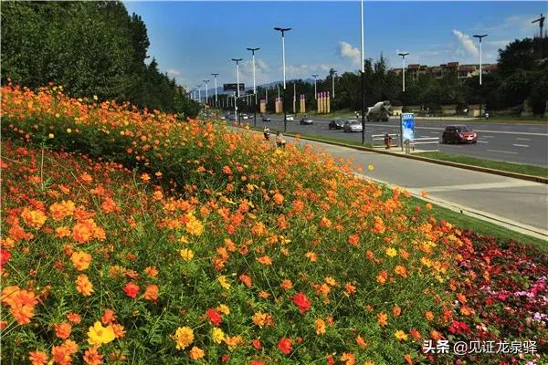 龙泉驿区最新交通消息,龙泉驿交通最新规划