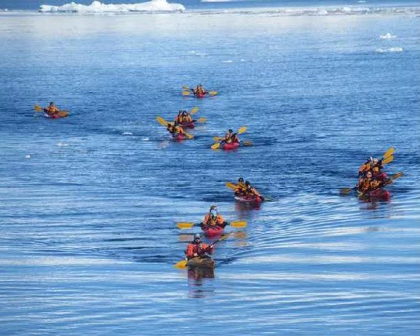 他叫辛巴,不是狮子王,8岁穿越12国:最好的教育,永远在路上