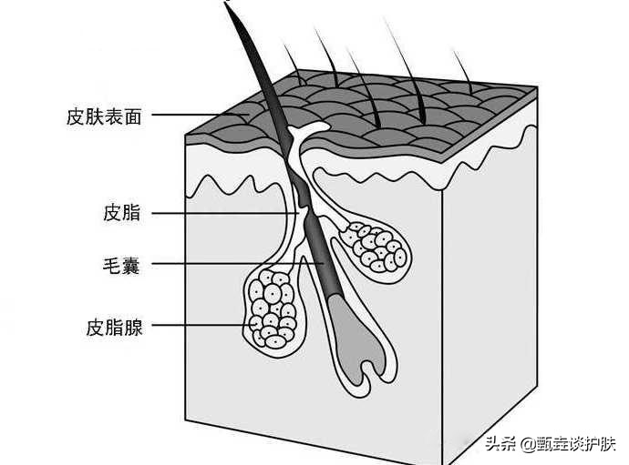 鼻子挤出白色条状物中医,鼻子边挤出白色条状物留下一个洞