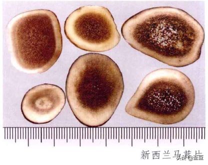 鹿茸造假事件,鹿茸造假手段有哪些